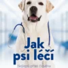 Jak psi léčí