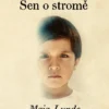 Sen o stromě