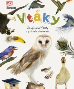 Vtáky Zaujímavé fakty o prírode okolo nás