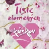 Tisíc zlomených kúskov
