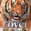 Kráľovstvo zvierat: Skutoční lovci