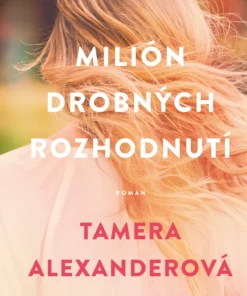 Milión drobných rozhodnutí